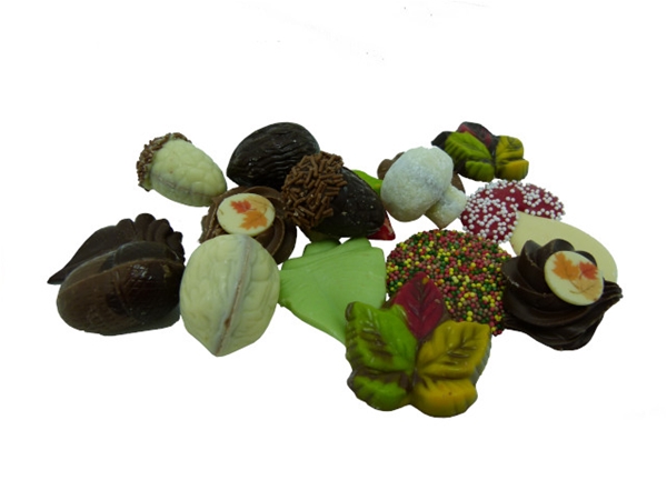 Herfst chocolade zakje p/200 gram